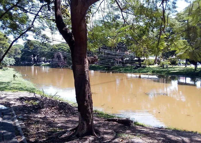 Mango Hotel 3*