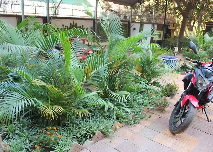 Mango Siem Reap