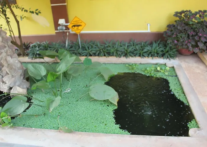 Mango 3* Siem Reap